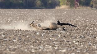 Barleben 18- (26).jpg