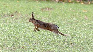 Barleben 18- (41).jpg