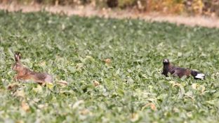 Barleben 18- (56).jpg