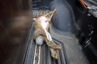 Barleben 18- (75).jpg