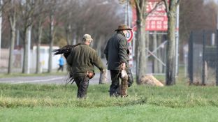 Barleben 2017 (101).jpg