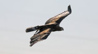 Barleben 18- (34).jpg