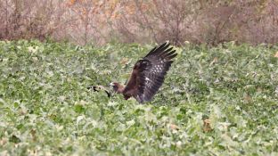 Barleben 18- (59).jpg