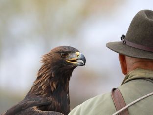 Barleben 18- (67).jpg