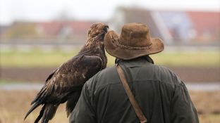 Barleben 2017 (82).jpg