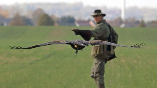 Barleben 18- (44).jpg