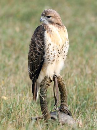 Barleben 18- (51).jpg