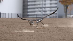 Barleben 18- (83).jpg