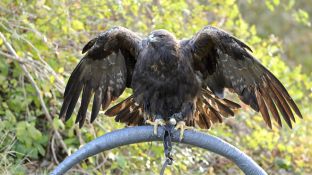 Barleben 2017 (27).jpg