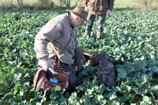 Barleben 2017 (54).jpg