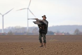 Barleben 2017 (84).jpg