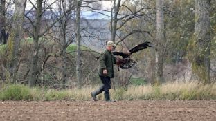 Barleben 2017 (92).jpg