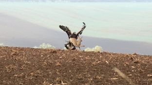 Niederndodeleben 16- (21).jpg