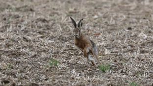 Barleben 16- (59).jpg