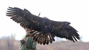 Barleben 18- (49).jpg