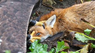 Barleben 16- (70).jpg