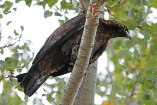 Barleben 18- (47).jpg