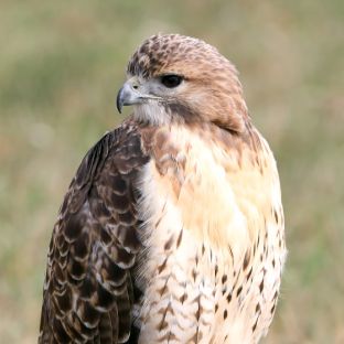 Barleben 18- (52).jpg