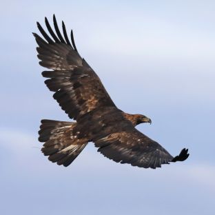 Barleben 18- (86).jpg