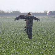 Barleben 2015 (36).jpg