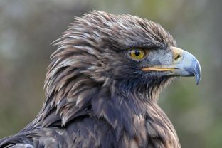 Barleben 2017 (29).jpg