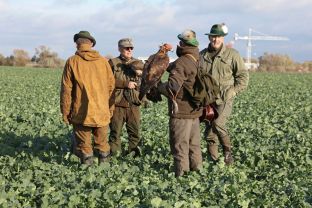 Barleben 2017 (61).jpg