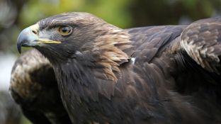 Barleben 2017 (72).jpg