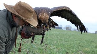 Barleben 2017 (79).jpg