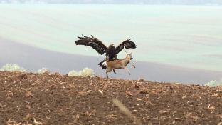 Niederndodeleben 16- (22).jpg