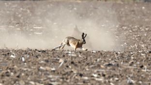 Barleben 18- (30).jpg