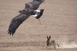 Barleben 18- (80).jpg