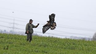 Barleben 2017 (105).jpg