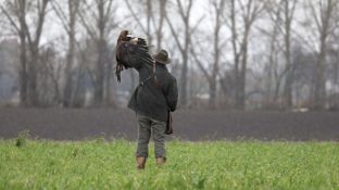 Barleben 2017 (110).jpg