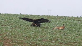 Niederndodeleben 16- (6) - Kopie.jpg