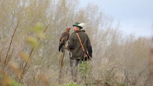 Barleben 2017 (45).jpg