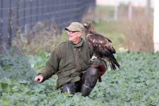 Barleben 2017 (51).jpg