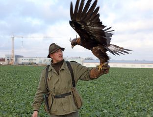 Barleben 2017 (63).jpg