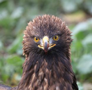 Niederndodeleben 16- (15).jpg