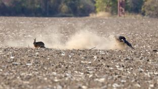 Barleben 18- (29).jpg