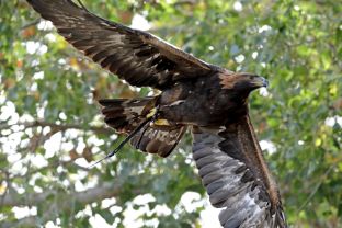 Barleben 18- (43).jpg