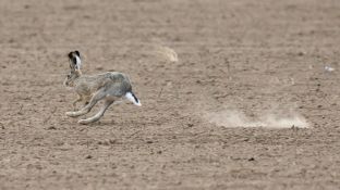 Barleben 18- (81).jpg