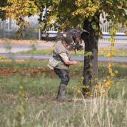 Barleben 2015 (60).jpg