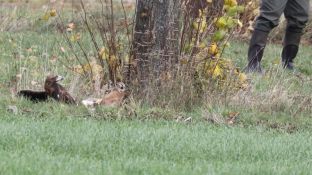 Barleben 2017 (95).jpg