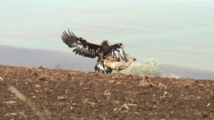 Niederndodeleben 16- (24).jpg