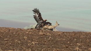 Niederndodeleben 16- (25).jpg