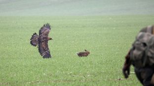 Niederndodeleben 16- (39).jpg